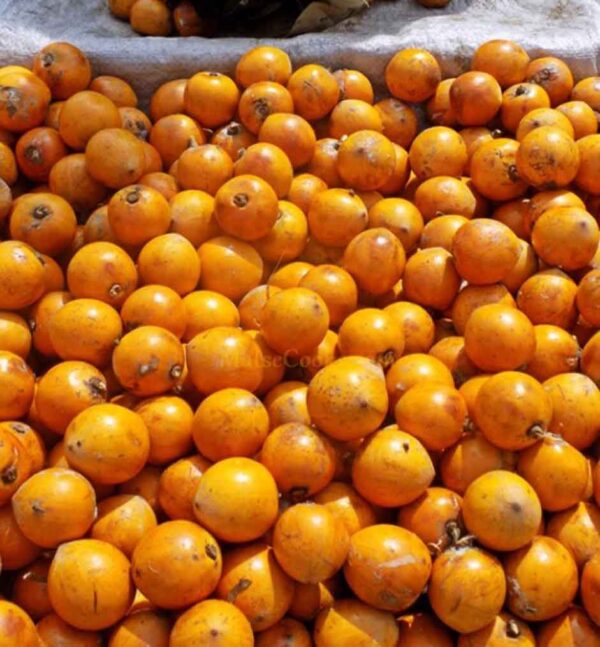 Agbalumo (African cherrie)