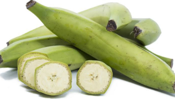 Unripe plantain