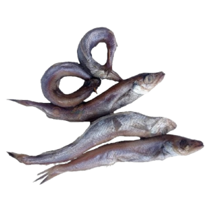 Frozen Hake Fish 10kg Box