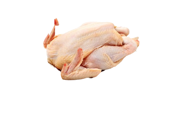 Frozen Jumbo Hard Chicken 10kg Box - Image 1