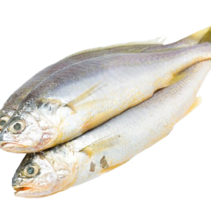 Wholesale Frozen Yellow Croaker 400-800g 6kg Pack (2x3kg)