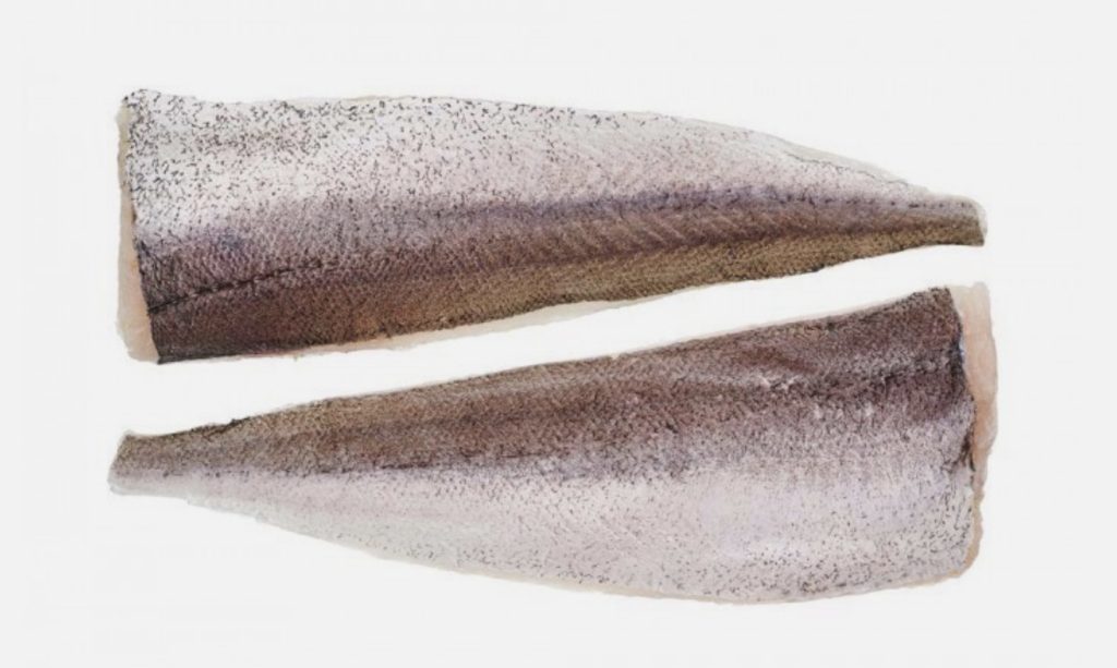 Frozen Hake Fish