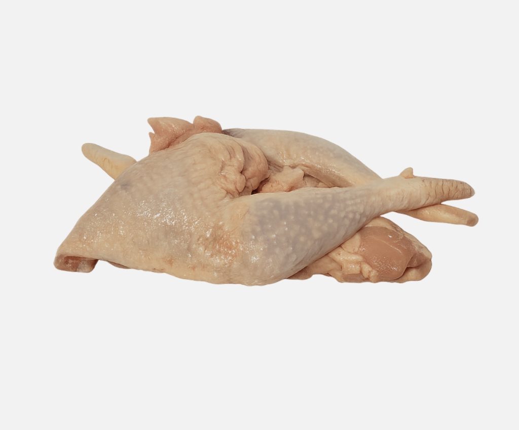 Frozen Hard Chicken